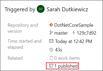 Screenshot of Summary of Azure Pipeline run. '1 published' is highlighted.