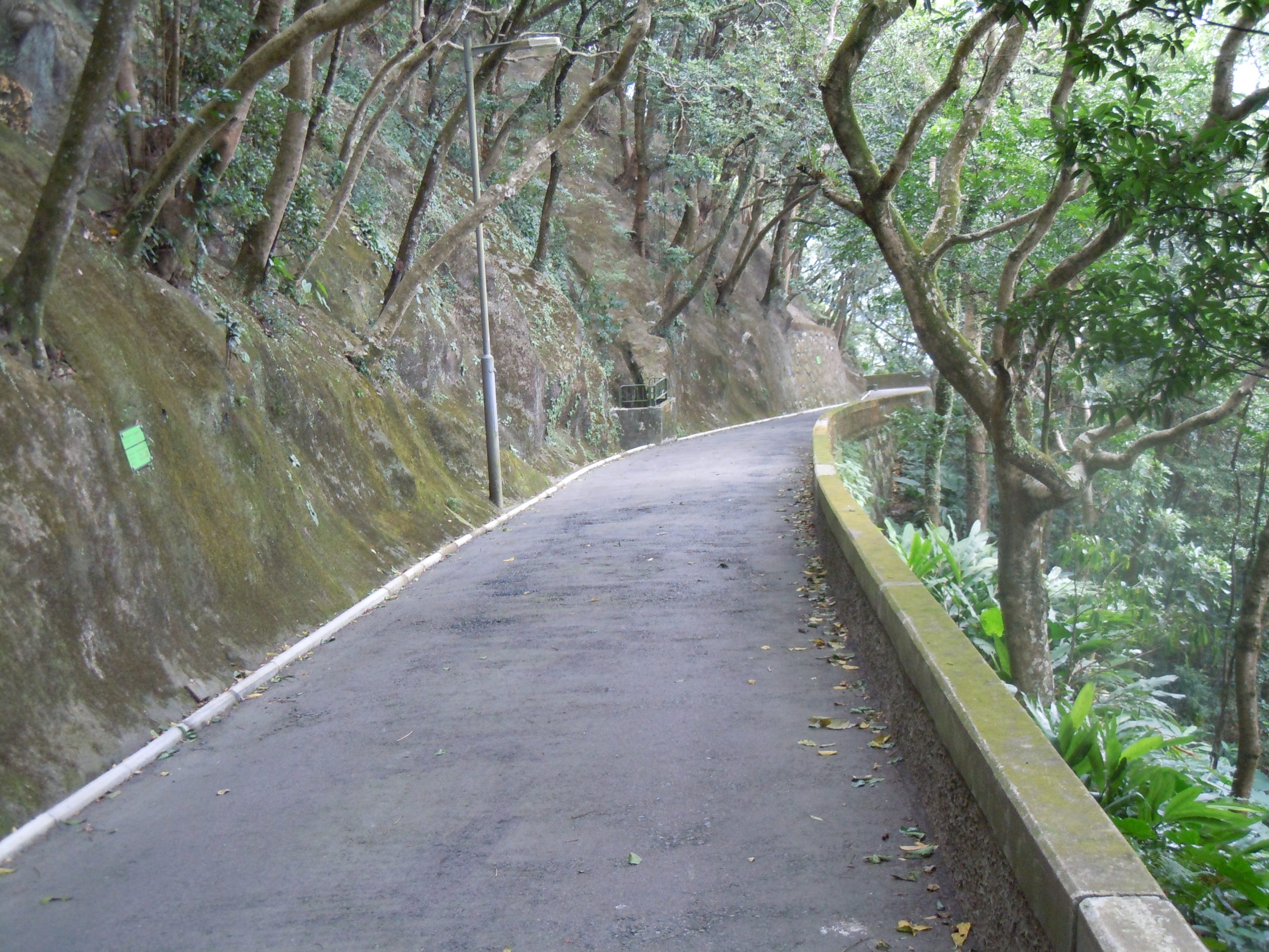 Winding path along Victoria Peak, Hong Kong, 2010